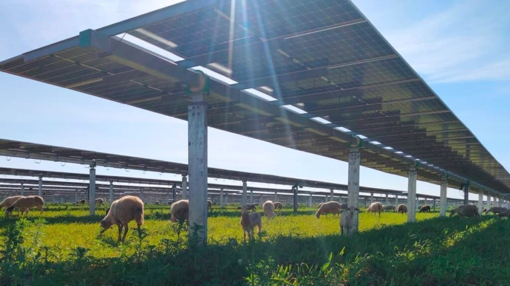 جنگ خاورمیانه، انتقال انرژی را دوباره شعله ور می کند