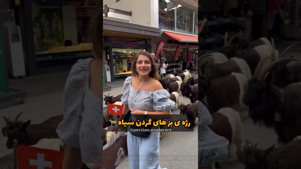 رژه‌ی بزها در اصیل ترین شهر سوییس!