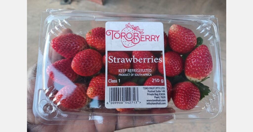 جایی برای اشتباه در صادرات میوه خاورمیانه وجود ندارد