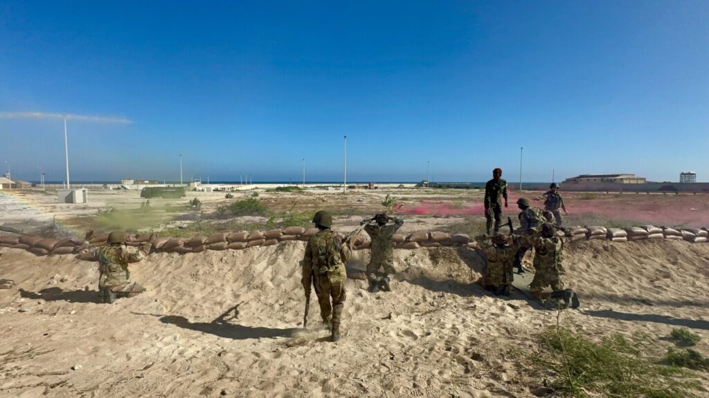 ترکیه دستکش ها را در سومالی رها کرد