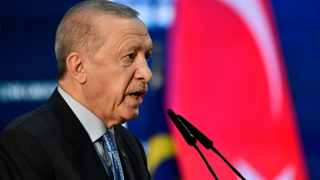 آیا دادگاه های ترکیه مخالفت اردوغان را از بین می برند؟